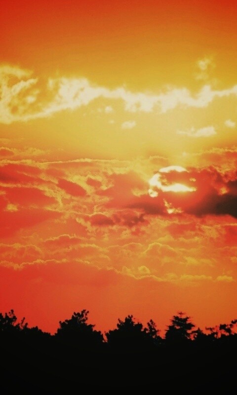 Ярко-оранжевое закатное небо обои