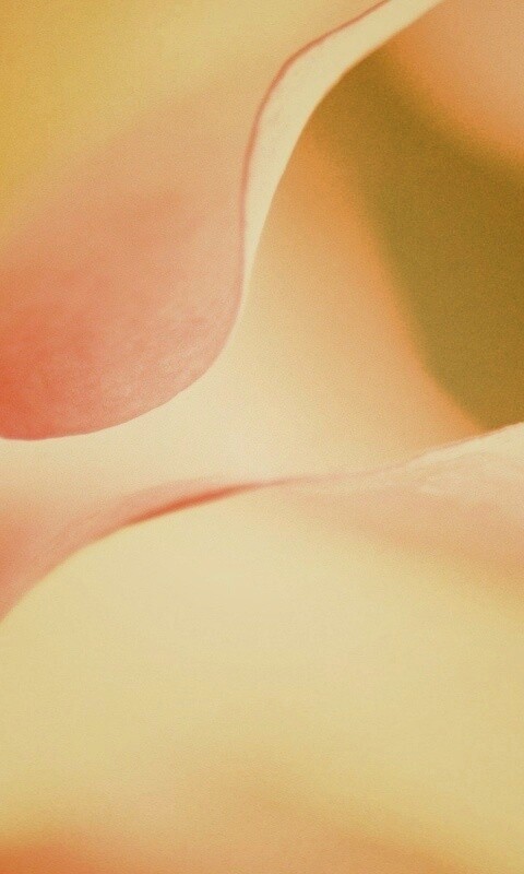 Оттенки природы обои