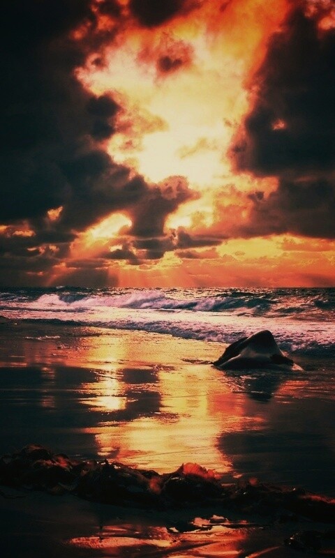 Океанский берег на закате обои