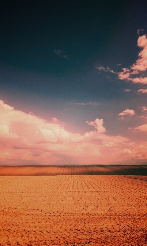 Незасеянное поле обои