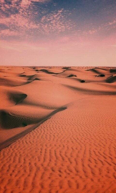 Пустыня до самого горизонта обои