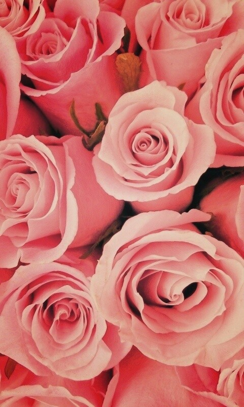 Букет роз обои