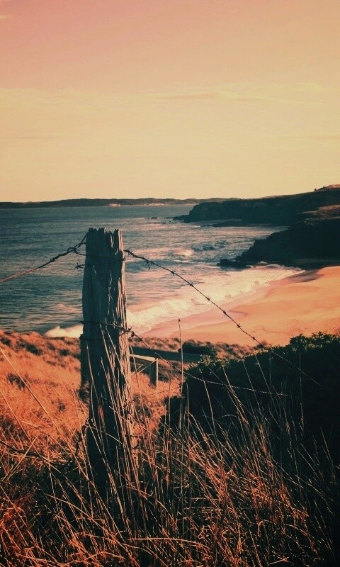 Пляж на озере обои