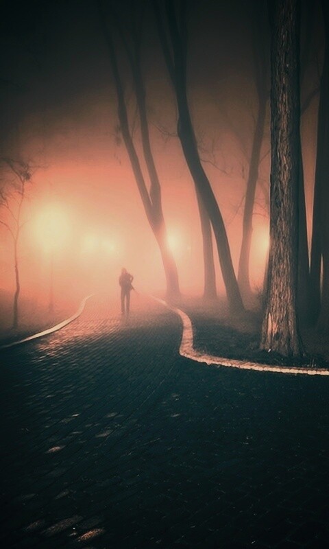 Пустынный лабиринт парковых дорожек обои