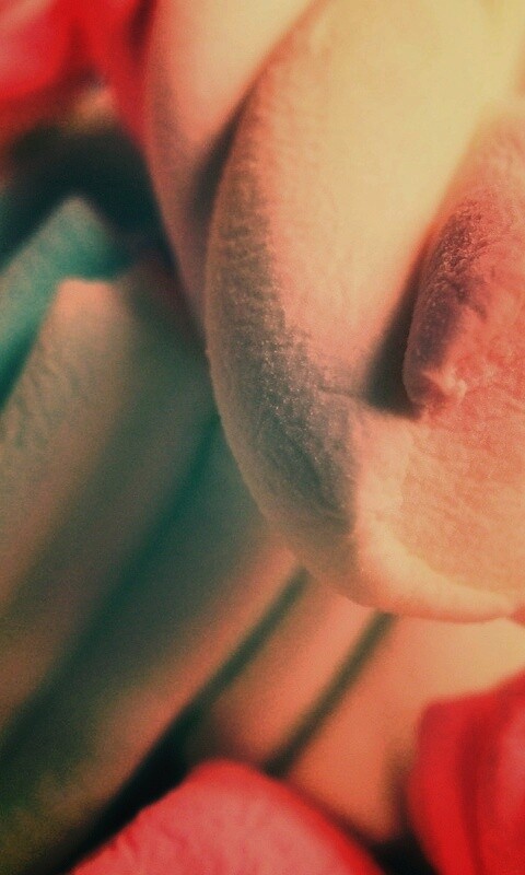 Кручёный зефир обои