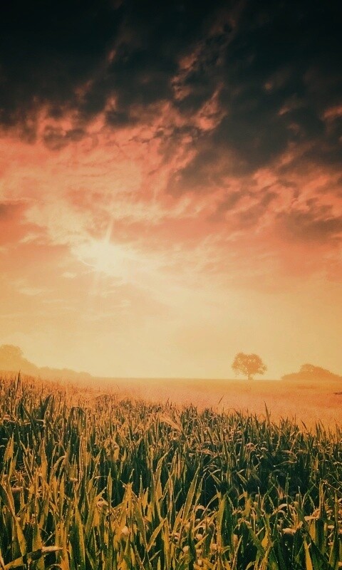 Безмятежность обои