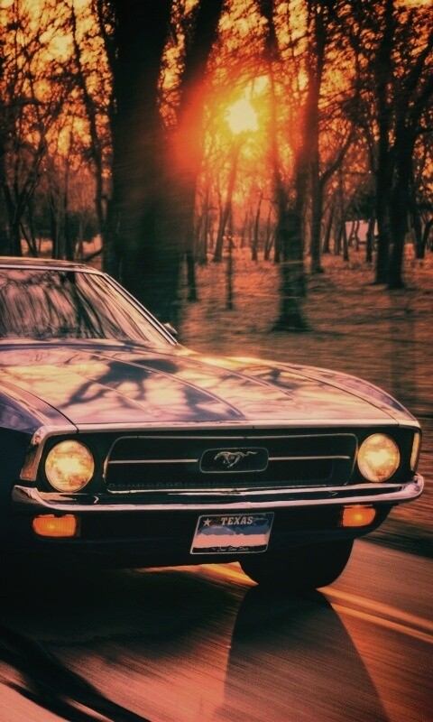 Мустанг обои