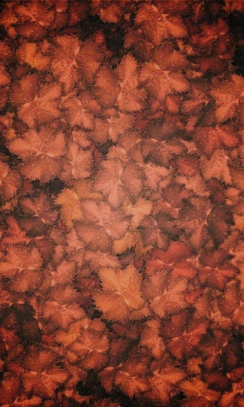 Осенние листья обои