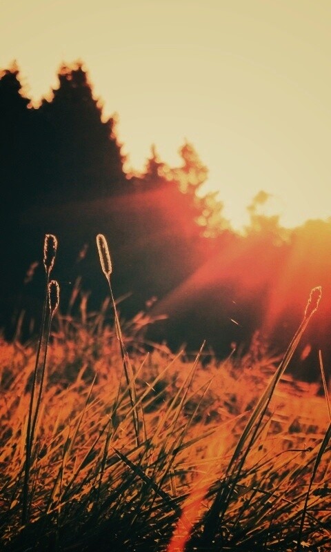 Красота природы обои