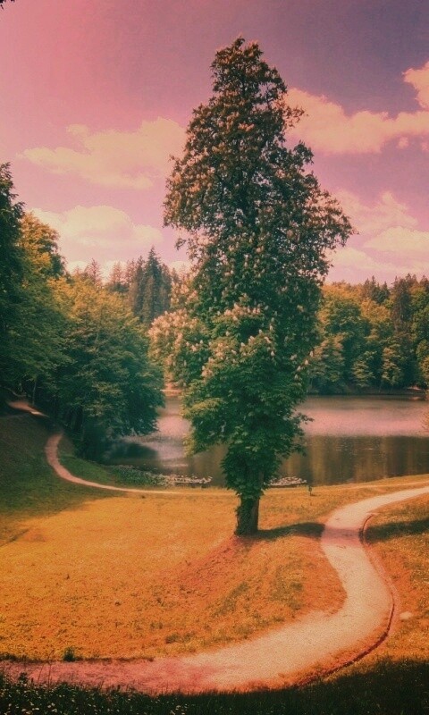 Прекрасная природа обои