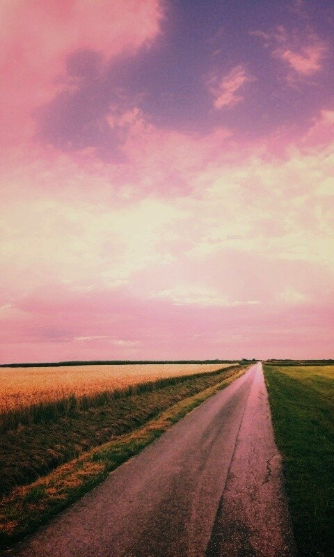 Сельский пейзаж обои