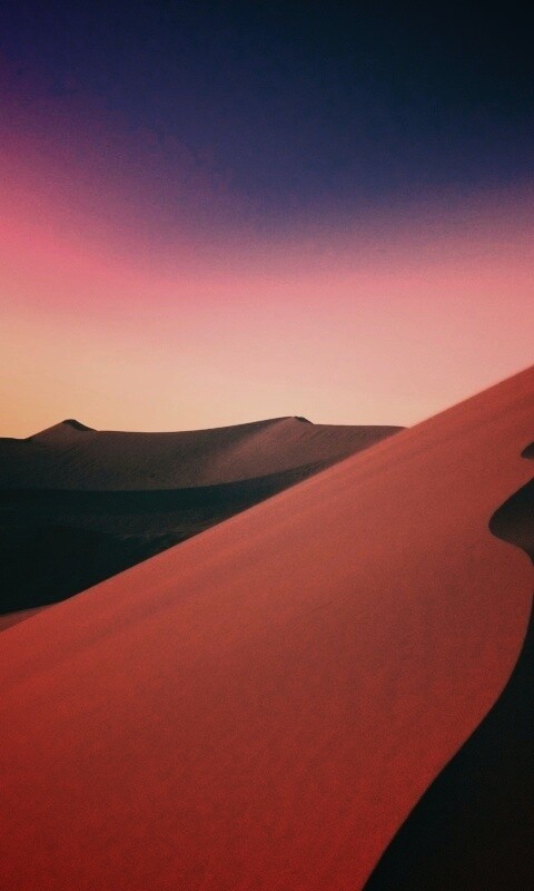 Люны в Намибии обои