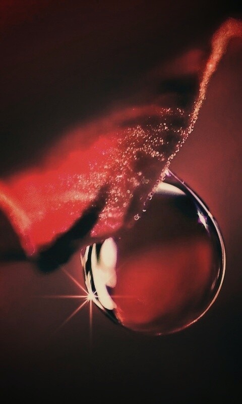 Макро капля на лепестке обои