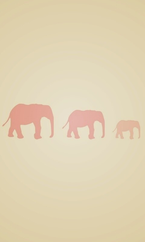Вереница слонов обои