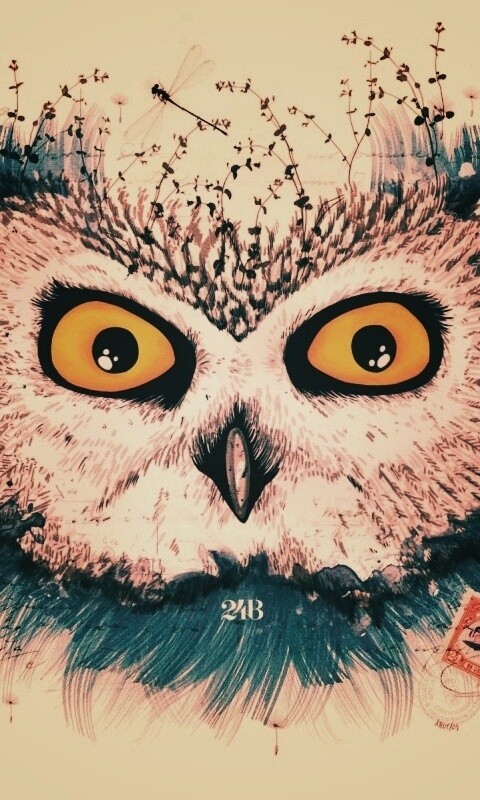 Обои сова для mac book обои