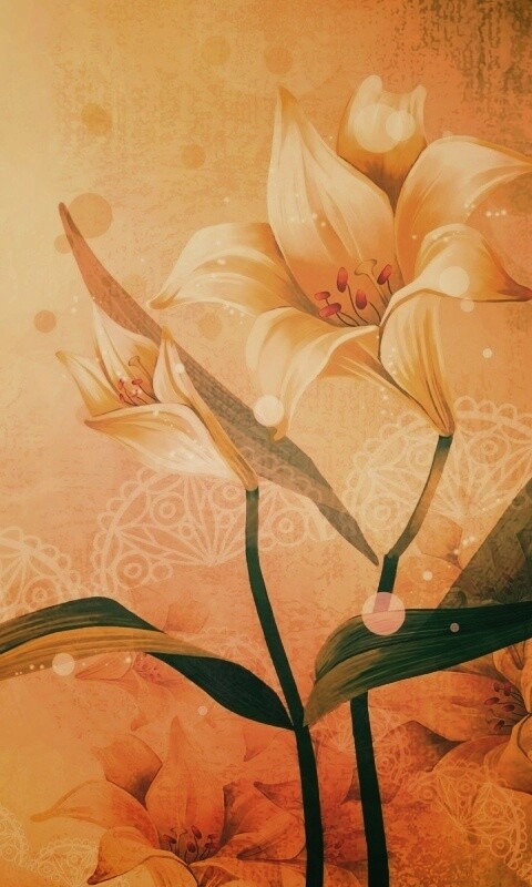 Красивое изображение лилии обои