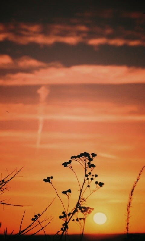 Степной закат обои