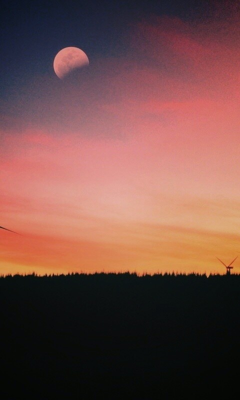 Закат за холмом обои