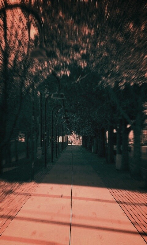 В парке обои