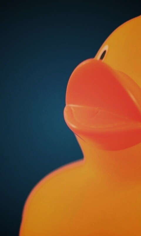 Резиновый утенок обои