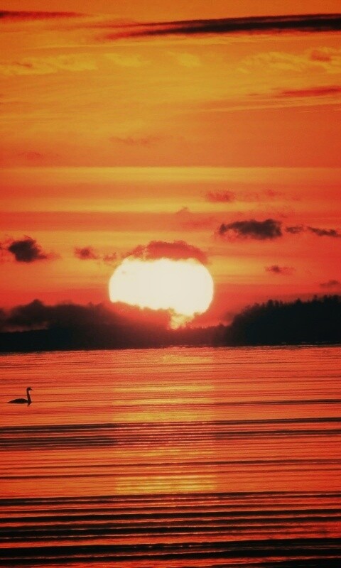 Великолепный рассвет обои