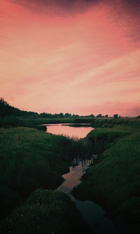 Канава и пруд обои