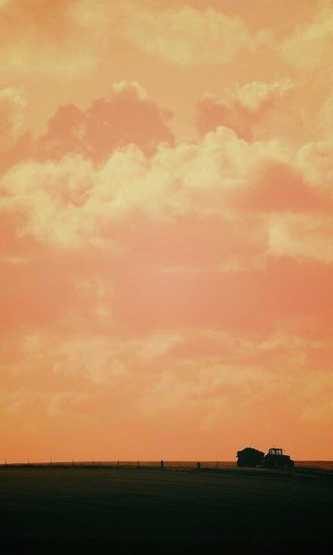 Прекрасный день обои