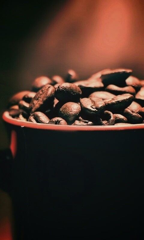 Полная кружка кофейных зёрен обои