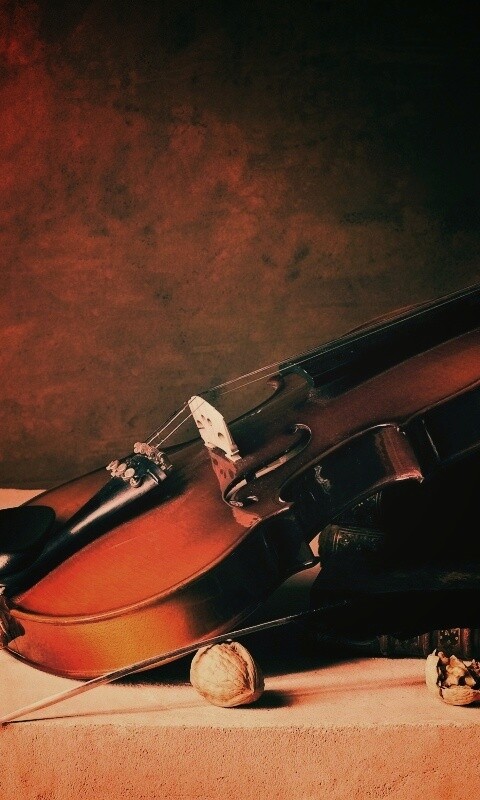 Композиция со скрипкой обои