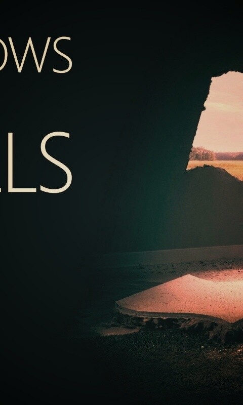 Windows против стен обои