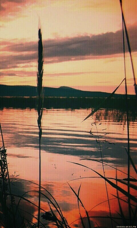 Закат на озере обои