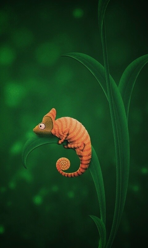 Хамелеон замаскированный под улитку обои