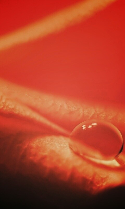 Капелька обои