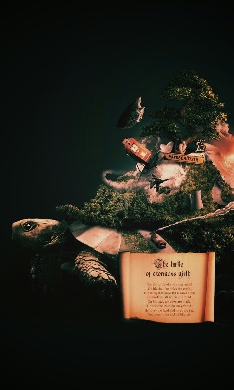 Огромная в обхвате черепаха обои