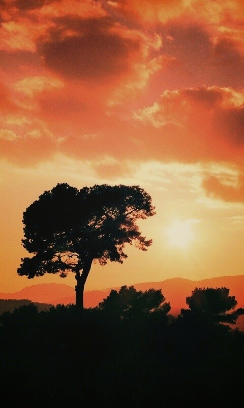 Закат над холмами обои