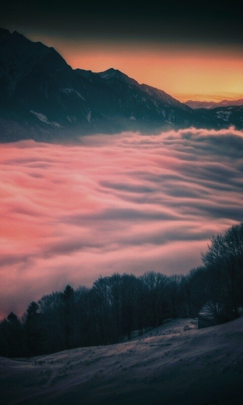 Туман в долине обои