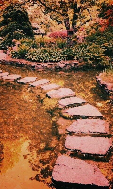 Дорожка через пруд обои