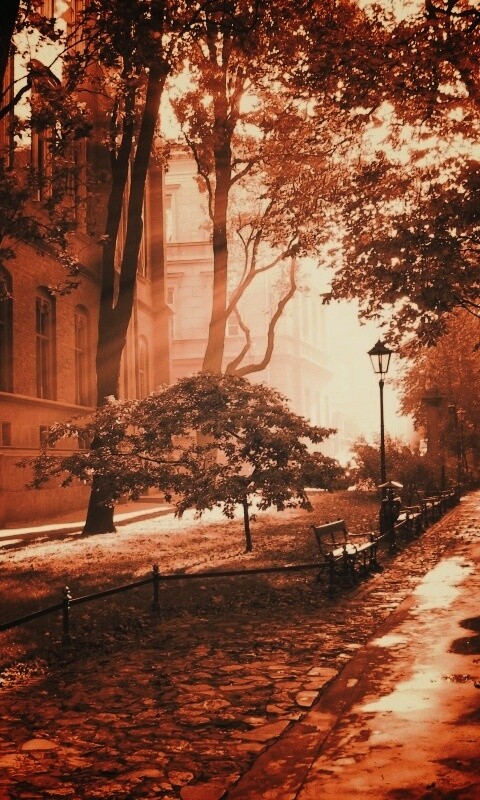 Аллея у здания обои