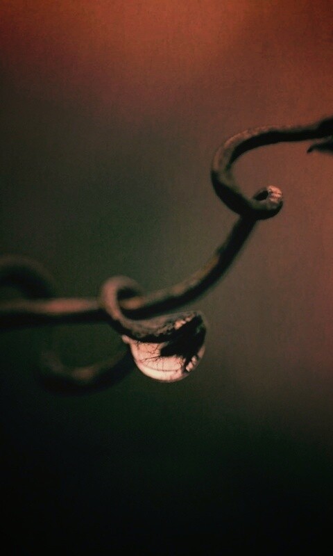 Одинокая капля обои