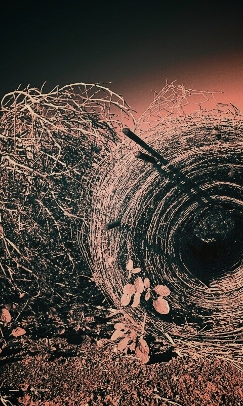 Клубок сена обои