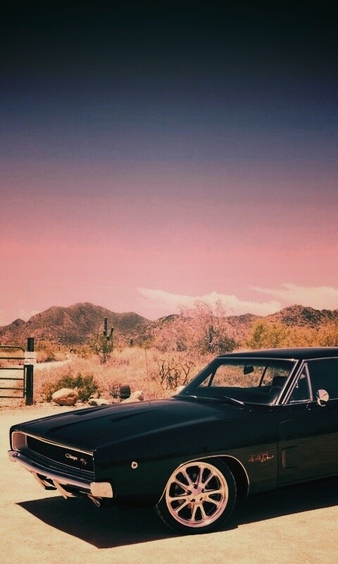 Мускулкар под палящим солнцем обои