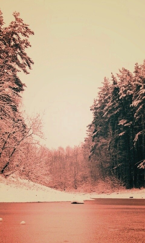 Зимняя дорога обои