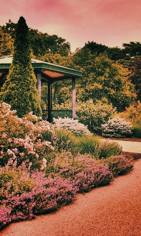 Ландшафтный дизайн обои