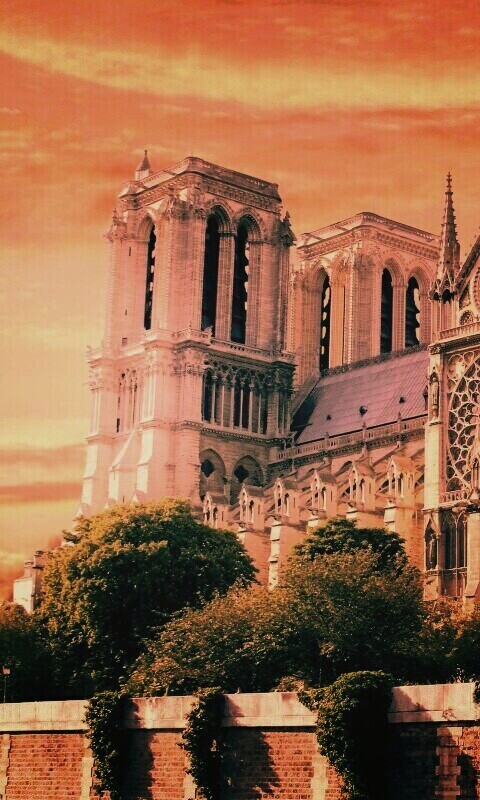 Собор парижской Богоматери обои