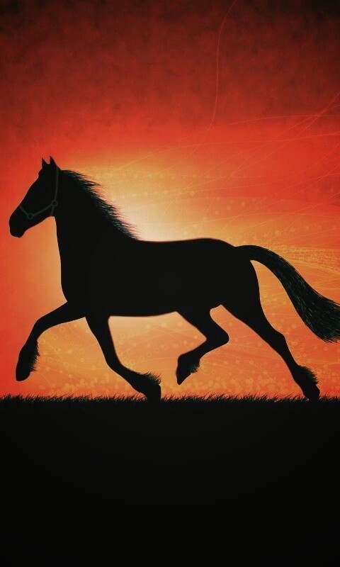 Силует коня на закате обои