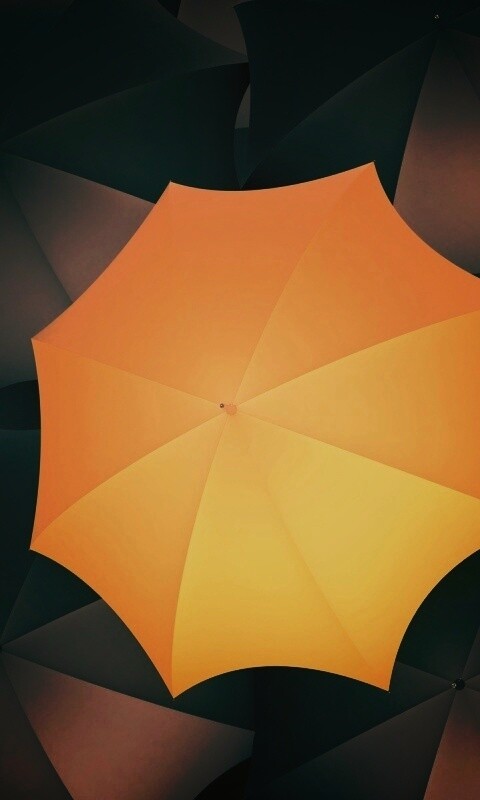 Жёлтый среди чёрных обои