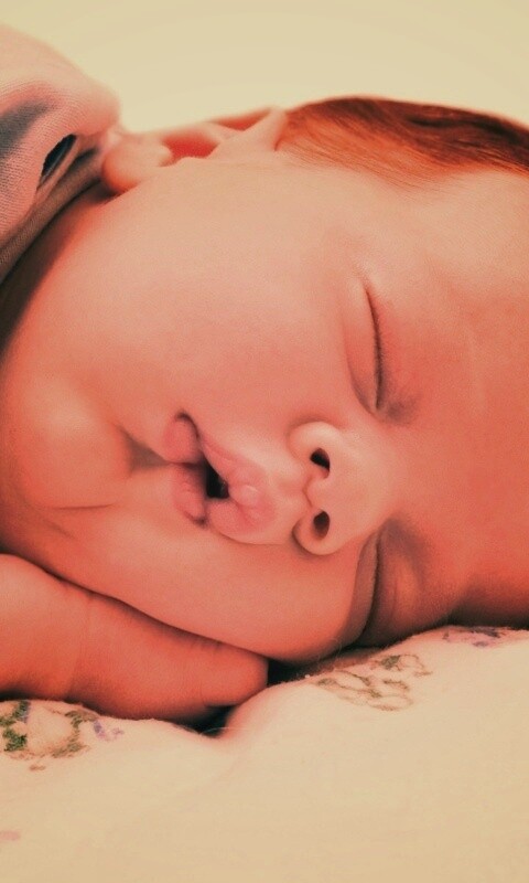 Спящая прелесть обои