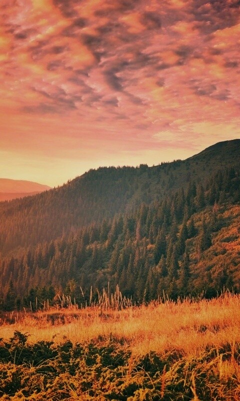 Предгорье обои