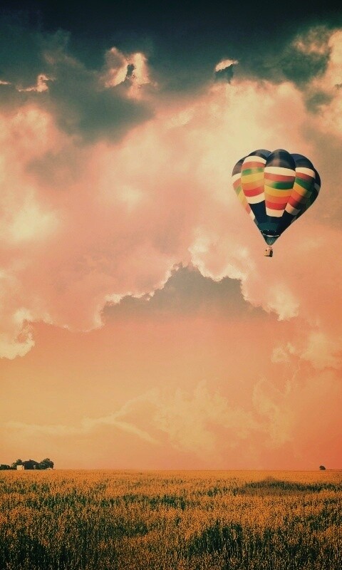 Воздушный шар над зеленым лугом обои
