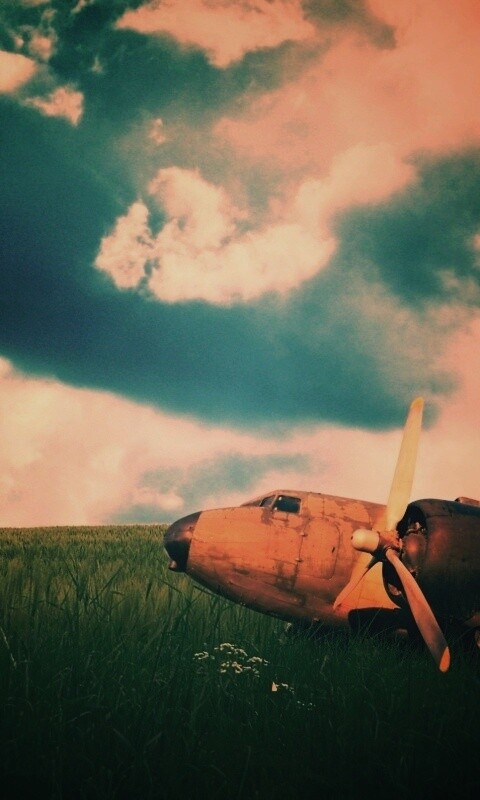 Старый ржавый самолет на лугу обои